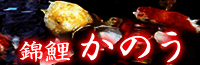 oi[A