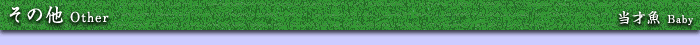 ̑