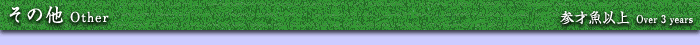̑